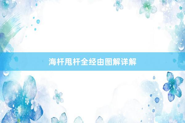 海杆甩杆全经由图解详解