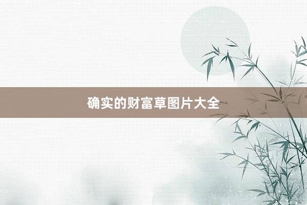 确实的财富草图片大全